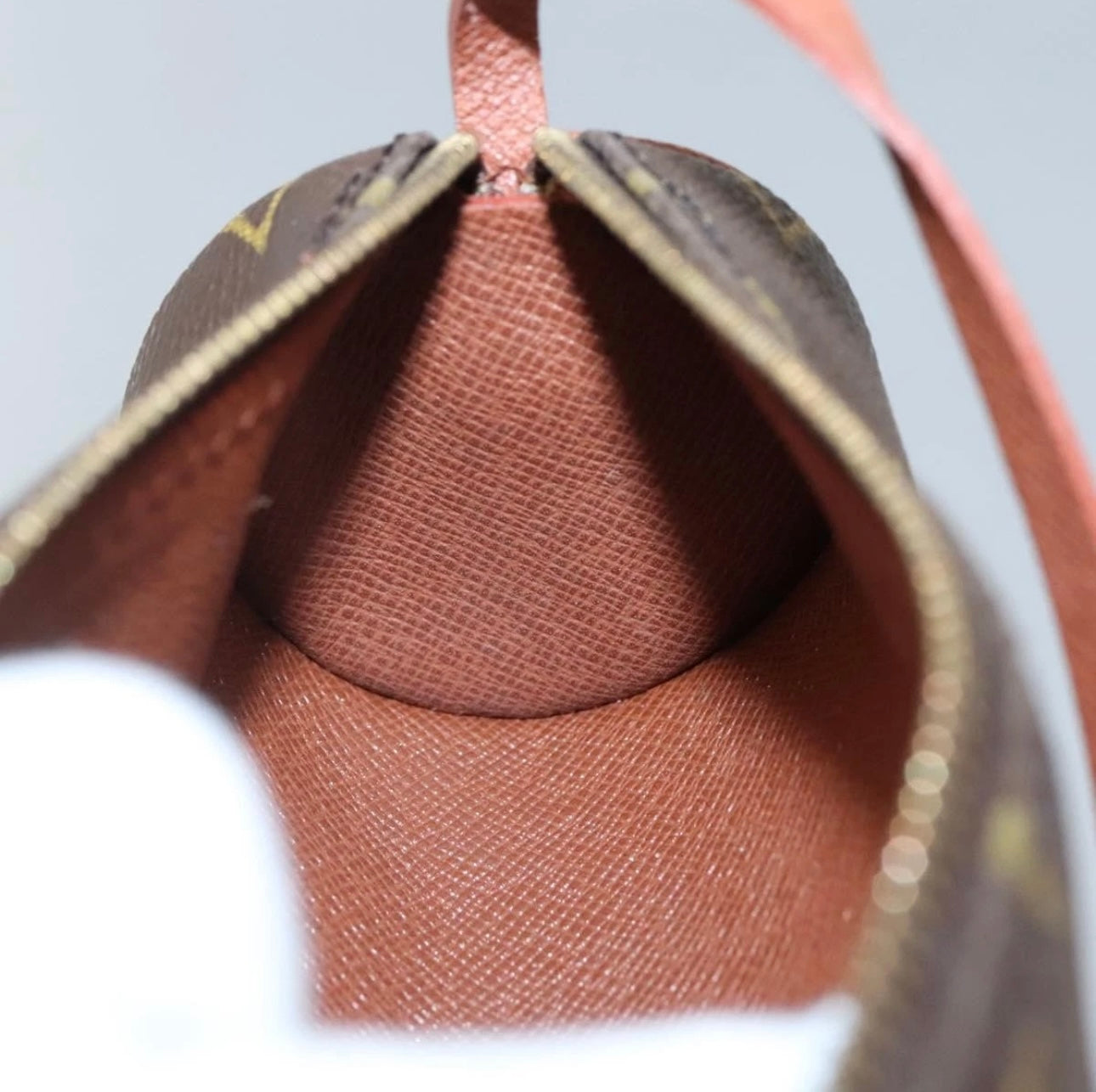 Louis Vuitton Monogram Papillon Pouch