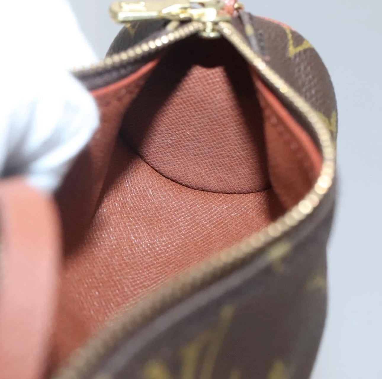 Louis Vuitton Monogram Papillon Pouch